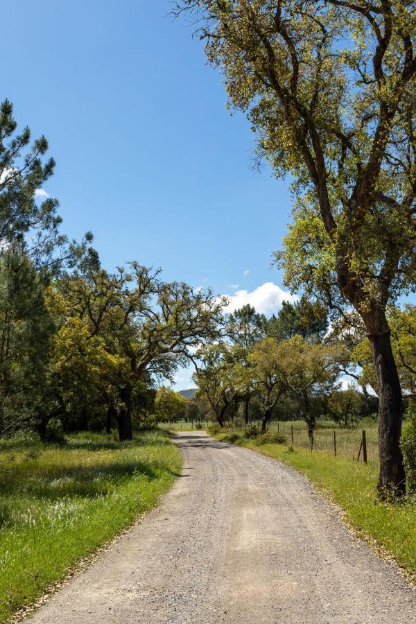 Monte Dos Passarinhos Villa Grândola Buitenkant foto