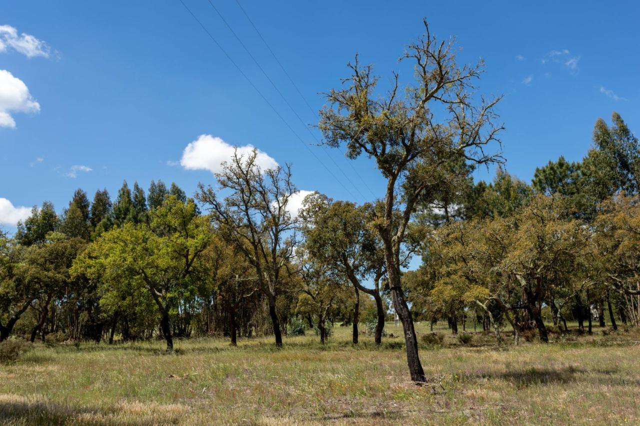Monte Dos Passarinhos Villa Grândola Buitenkant foto